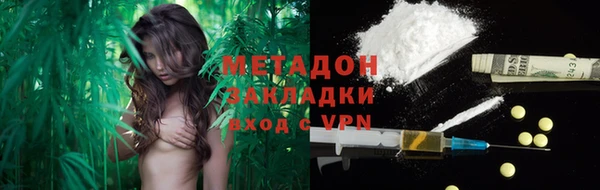 прущие грибы Майский