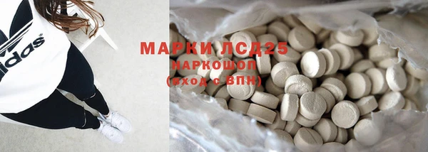 прущие грибы Майский
