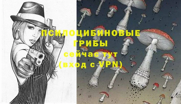 круглые Магас