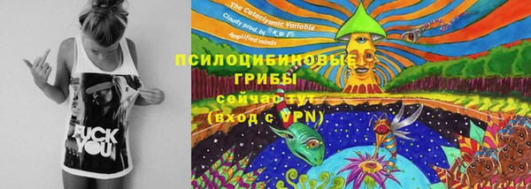 прущие грибы Майский
