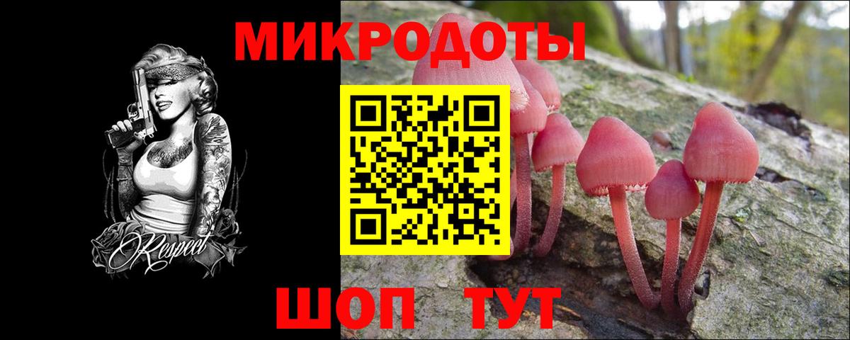 Псилоцибиновые грибы мухоморы Дербент