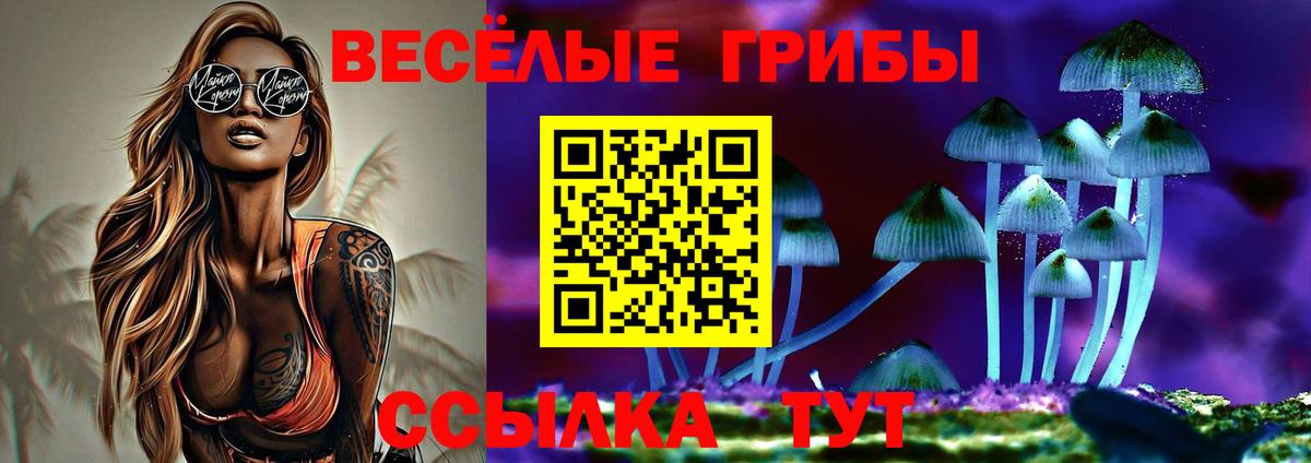Галлюциногенные грибы Magic Shrooms  Вход с VPN  Галлюциногенные грибы Psilocybe  Дербент 