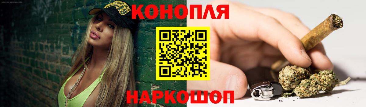 Марихуана сатива Дербент